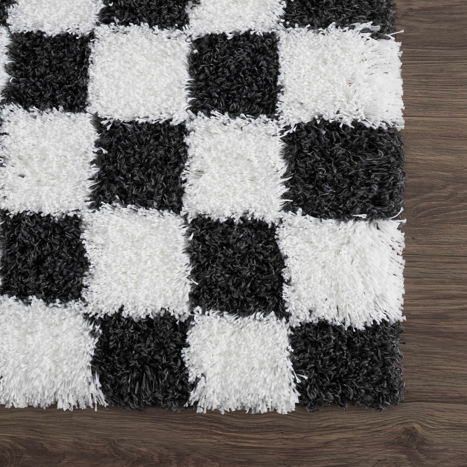 Atira Black &amp; White Checkered Area Rug