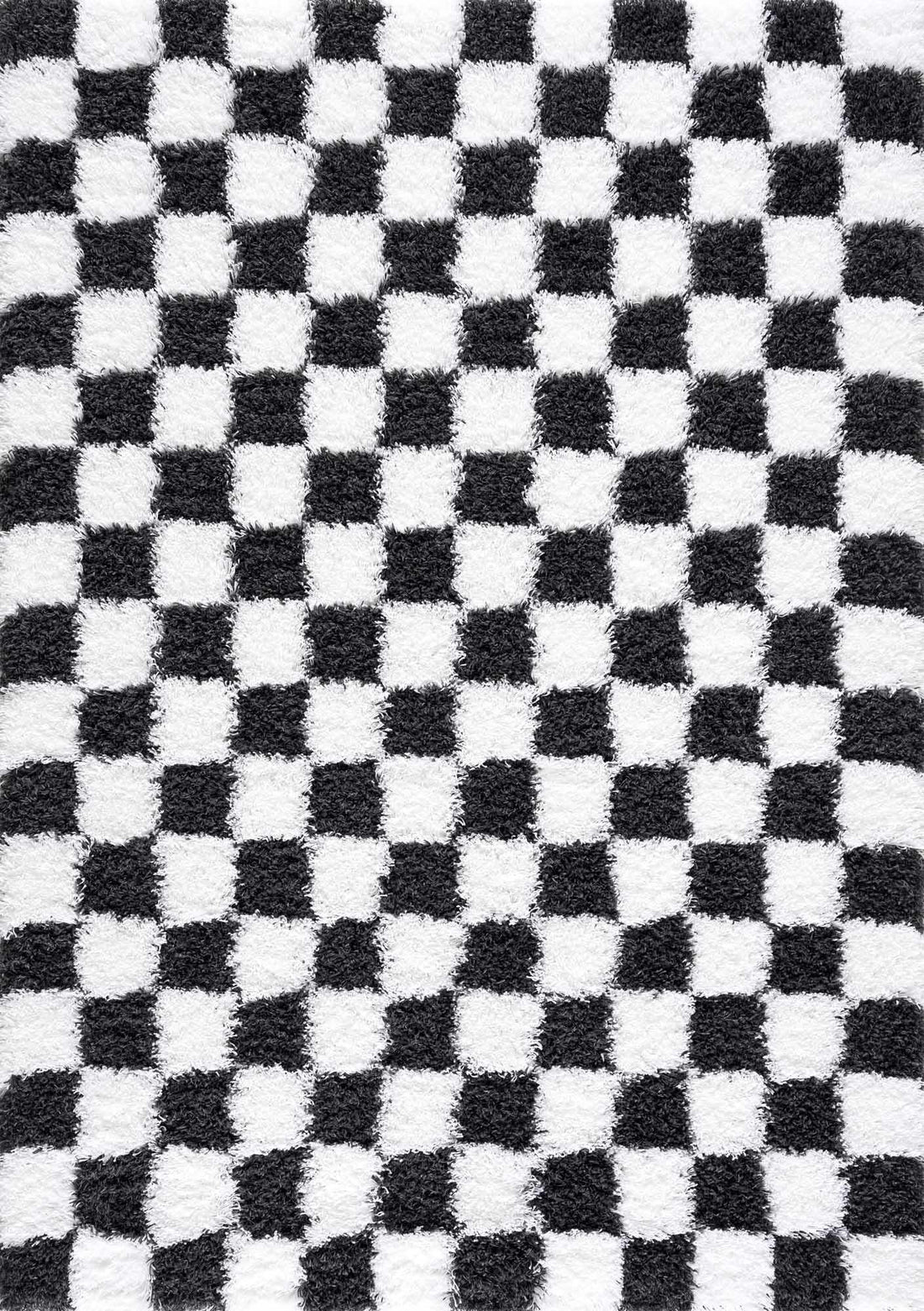 Atira Black &amp; White Checkered Area Rug