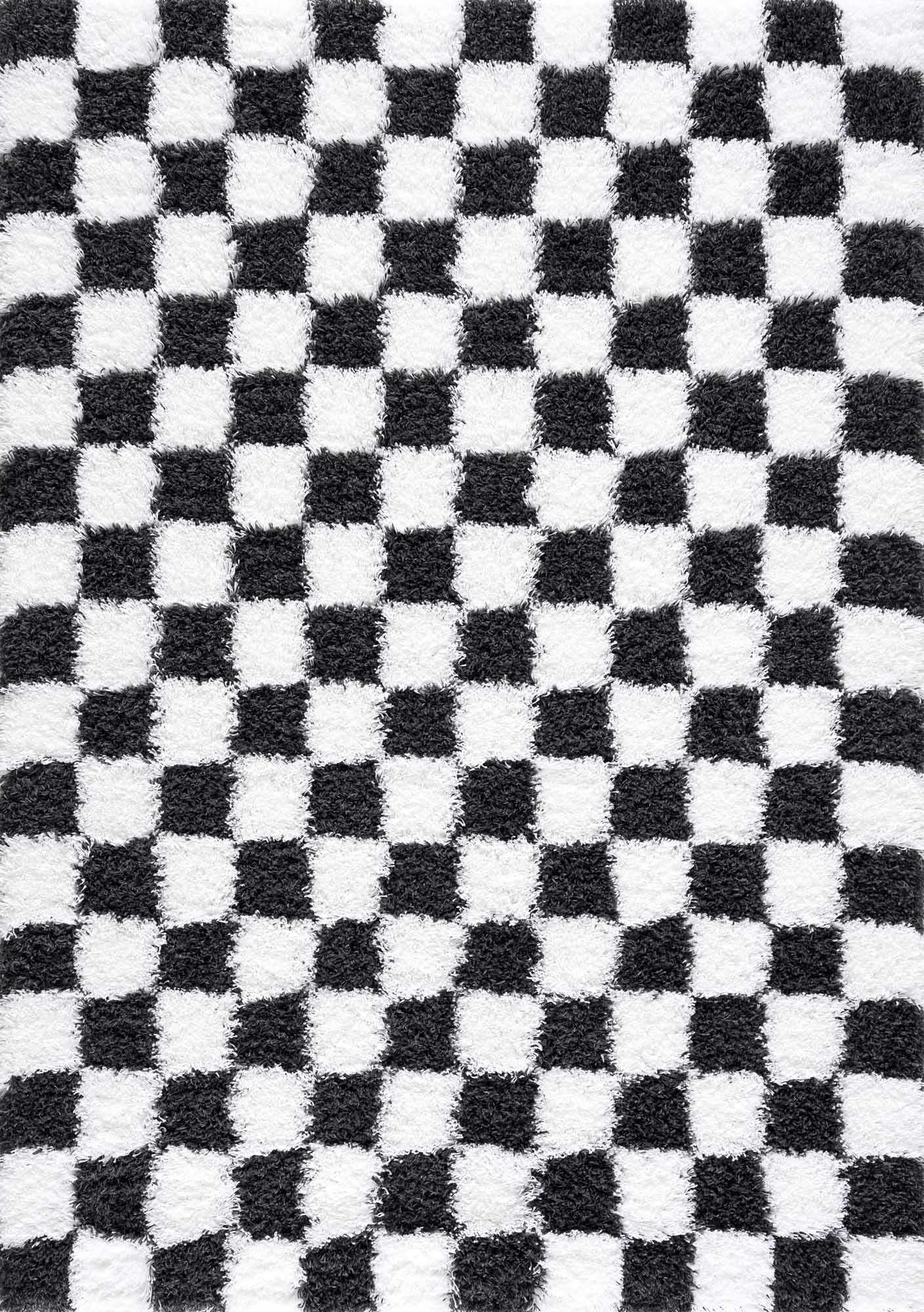 Atira Black &amp; White Checkered Area Rug