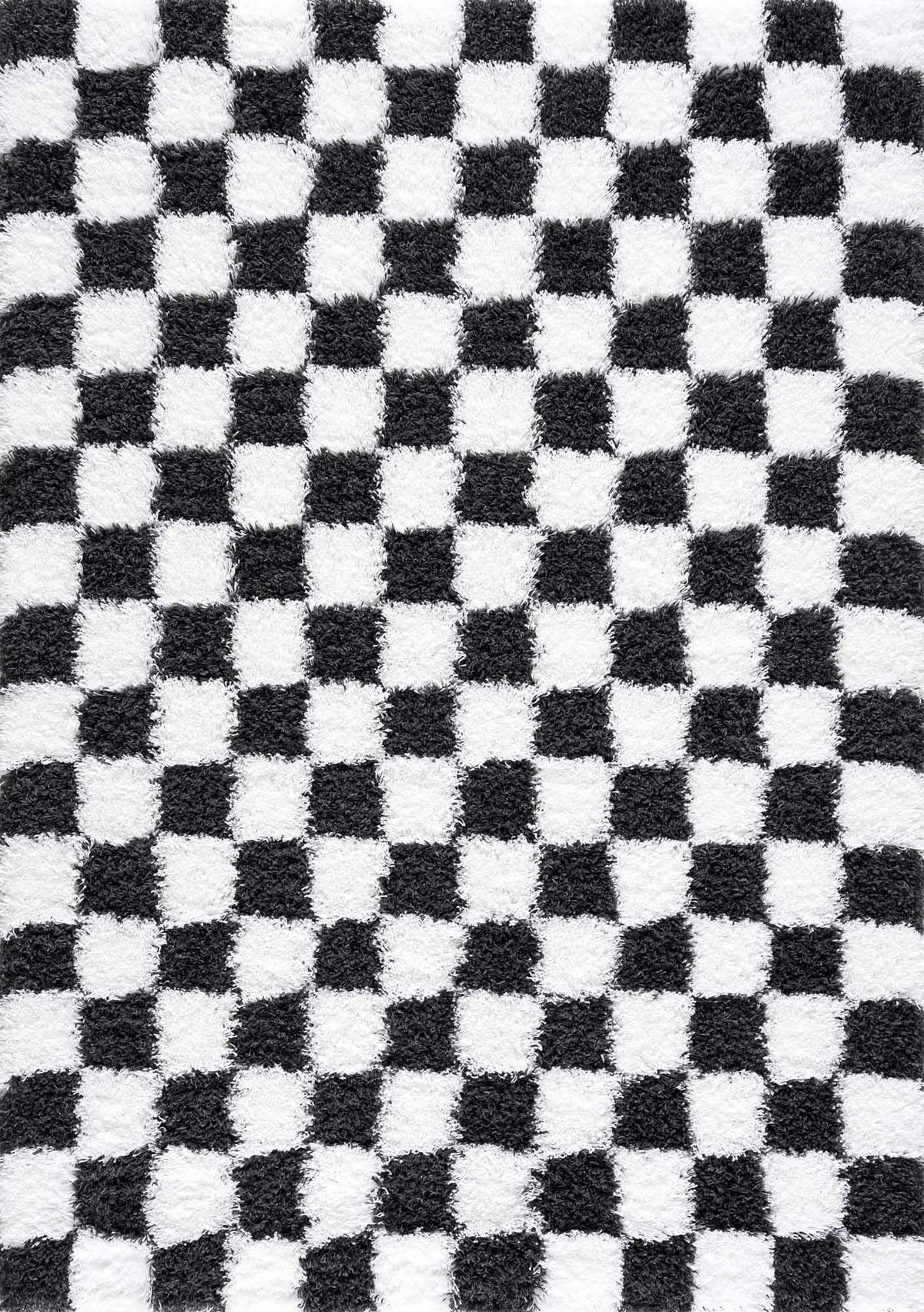 Atira Black &amp; White Checkered Area Rug