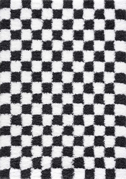 Atira Black &amp; White Checkered Area Rug