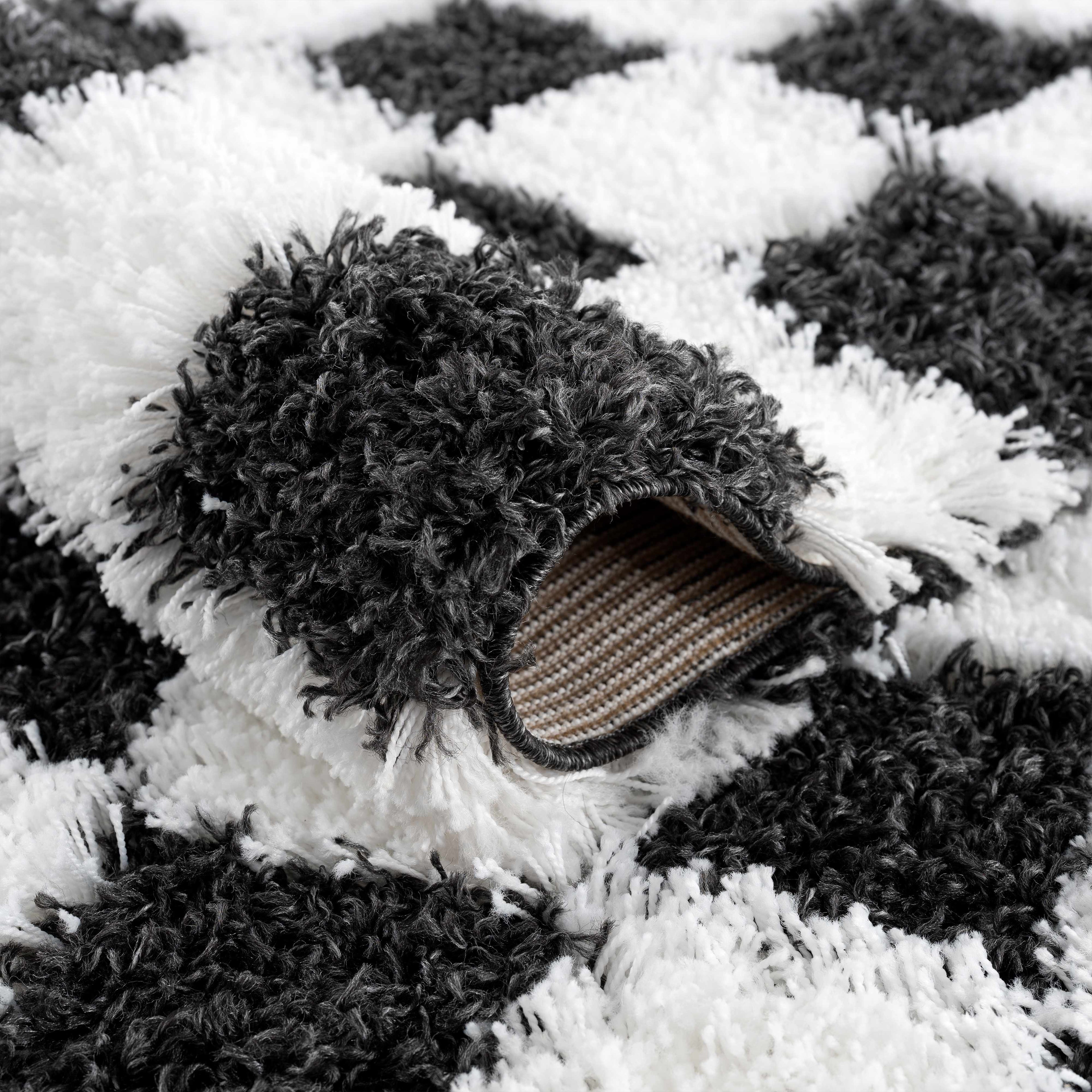 Atira Black &amp; White Checkered Area Rug