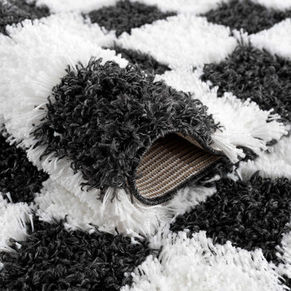 Atira Black &amp; White Checkered Area Rug