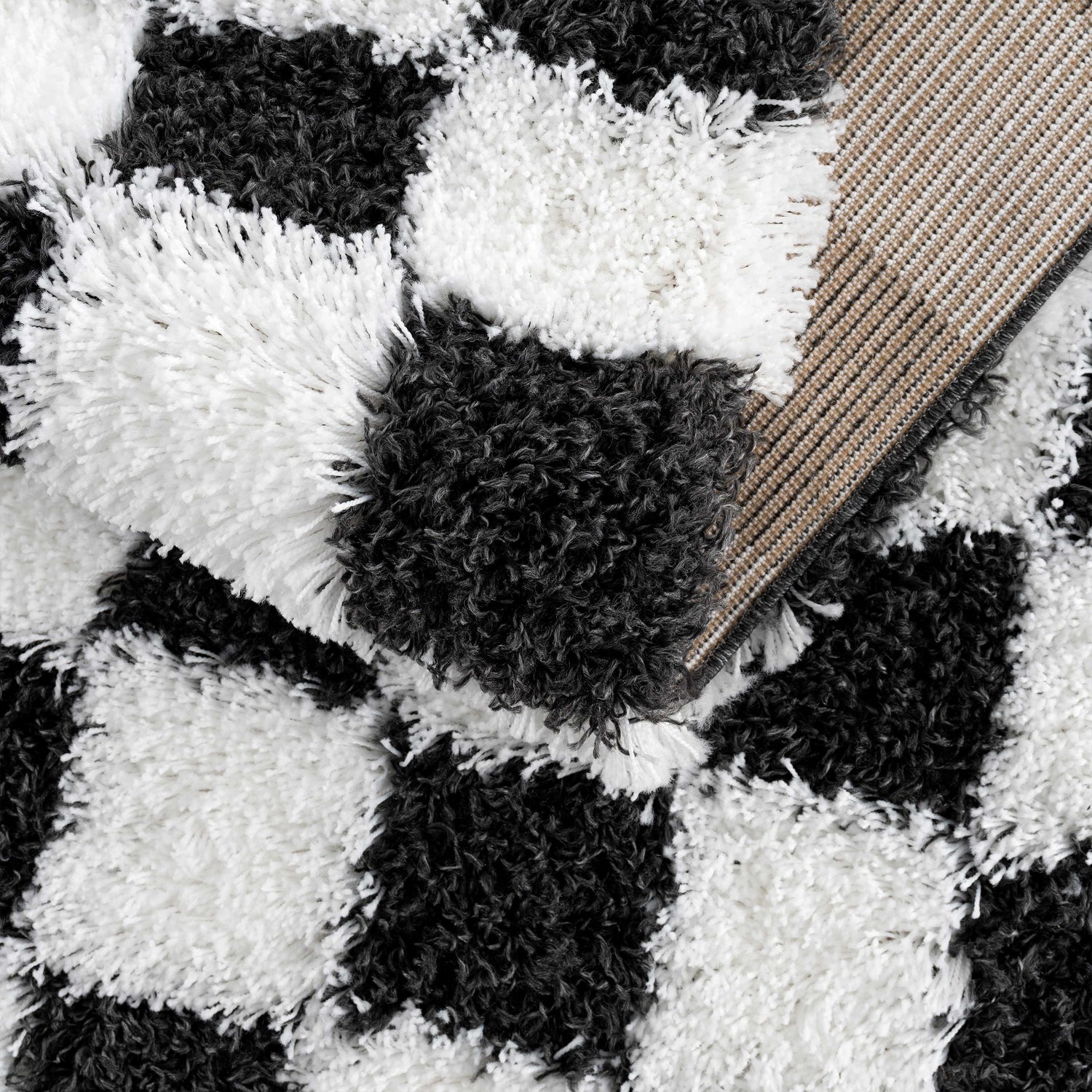 Atira Black &amp; White Checkered Area Rug