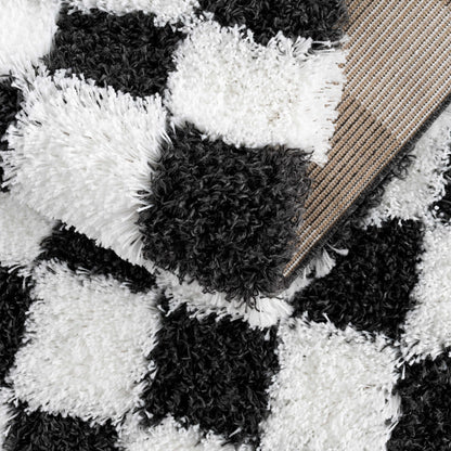 Atira Black &amp; White Checkered Area Rug