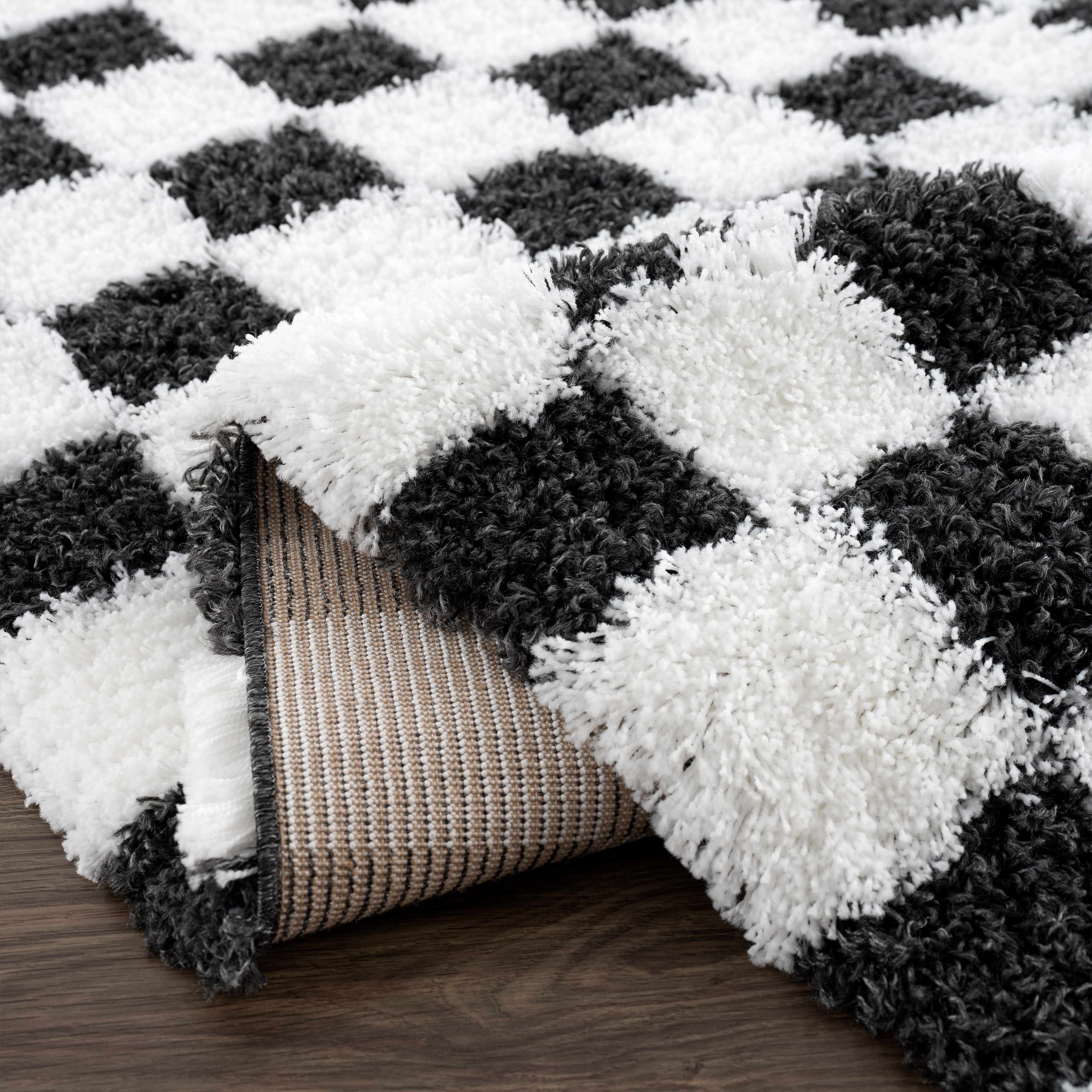 Atira Black &amp; White Checkered Area Rug
