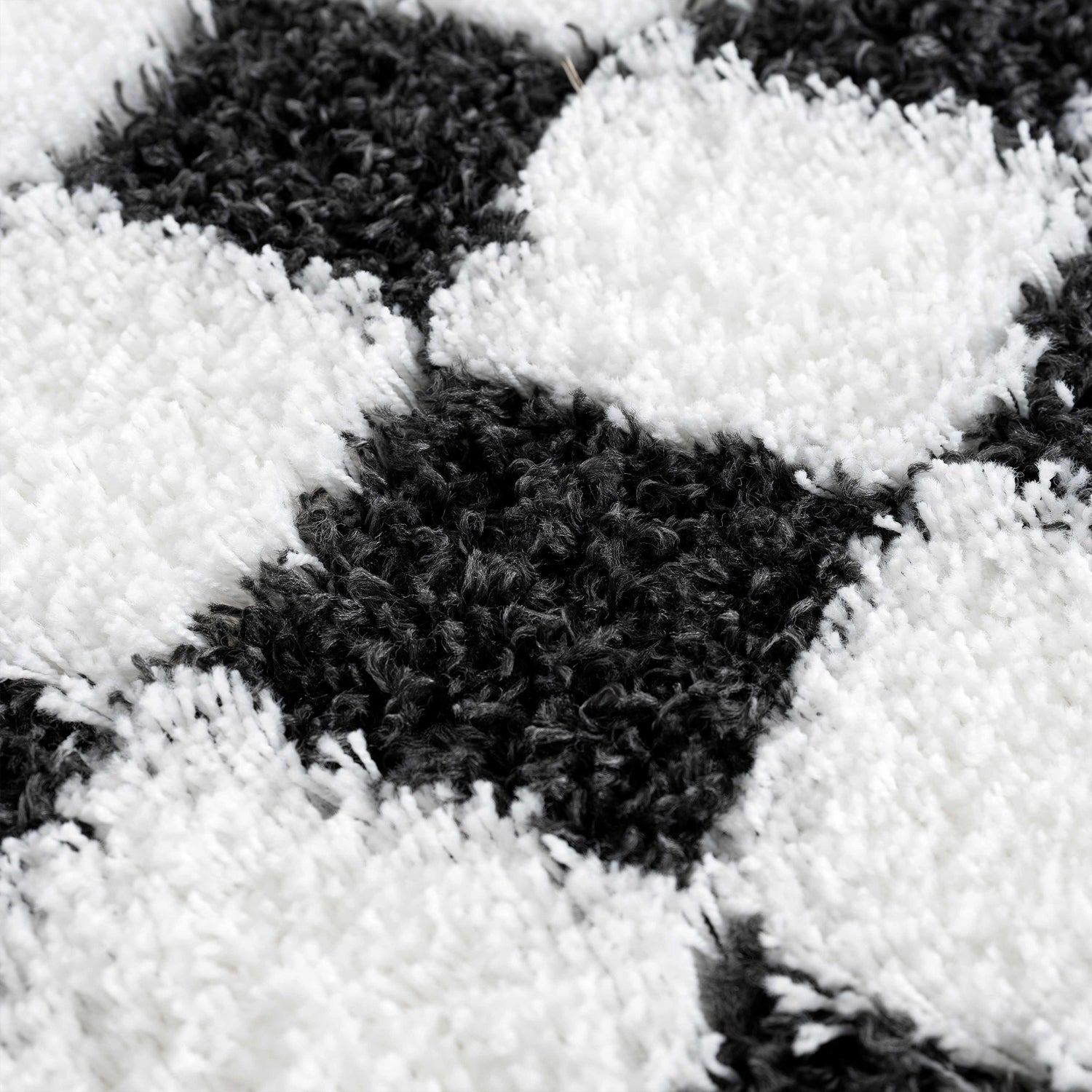 Atira Black &amp; White Checkered Area Rug