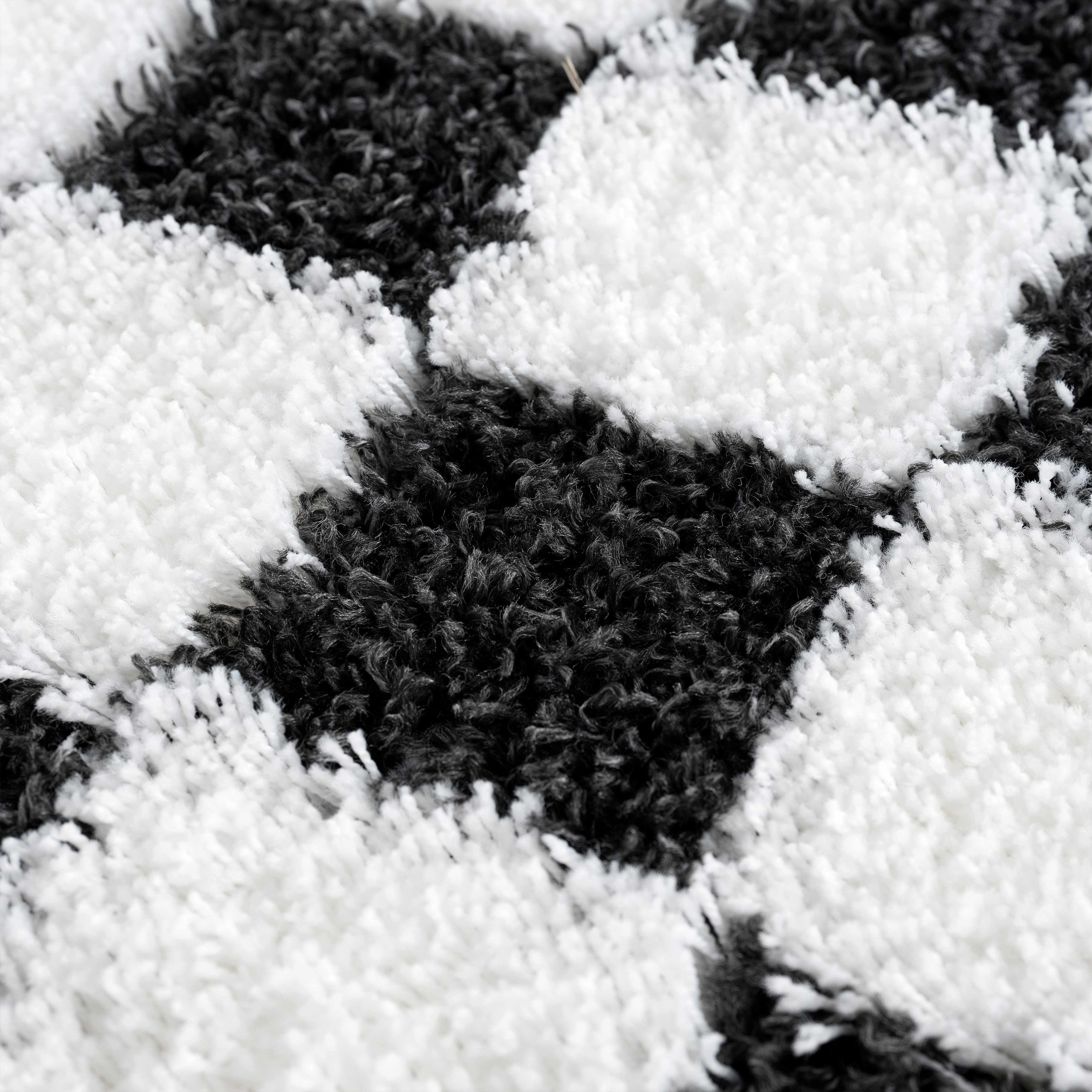 Atira Black &amp; White Checkered Area Rug