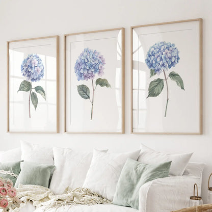 Light Blue Hydrangea Flower Wall Art Poster Set