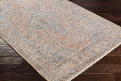 Akio Area Rug - Clearance