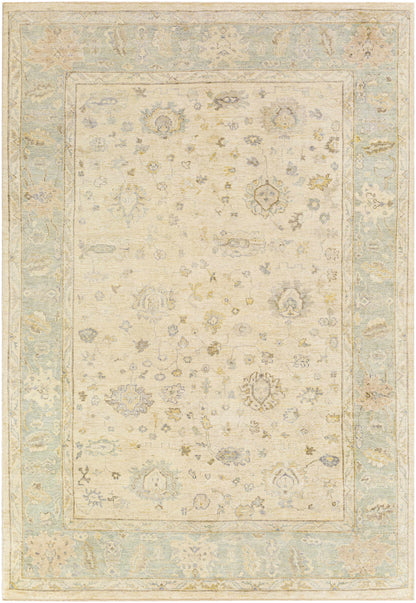 Americus Premium Area Rug - Clearance