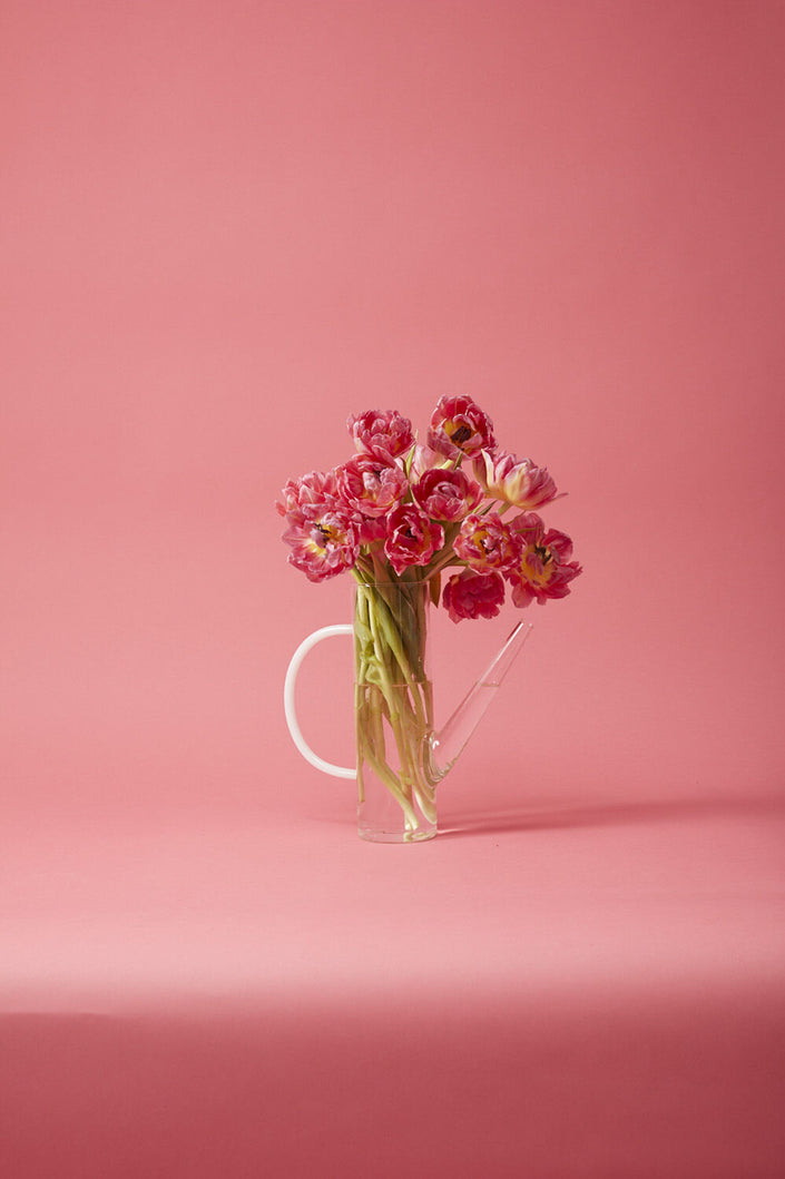 Arlo Glass Watering Can- Small