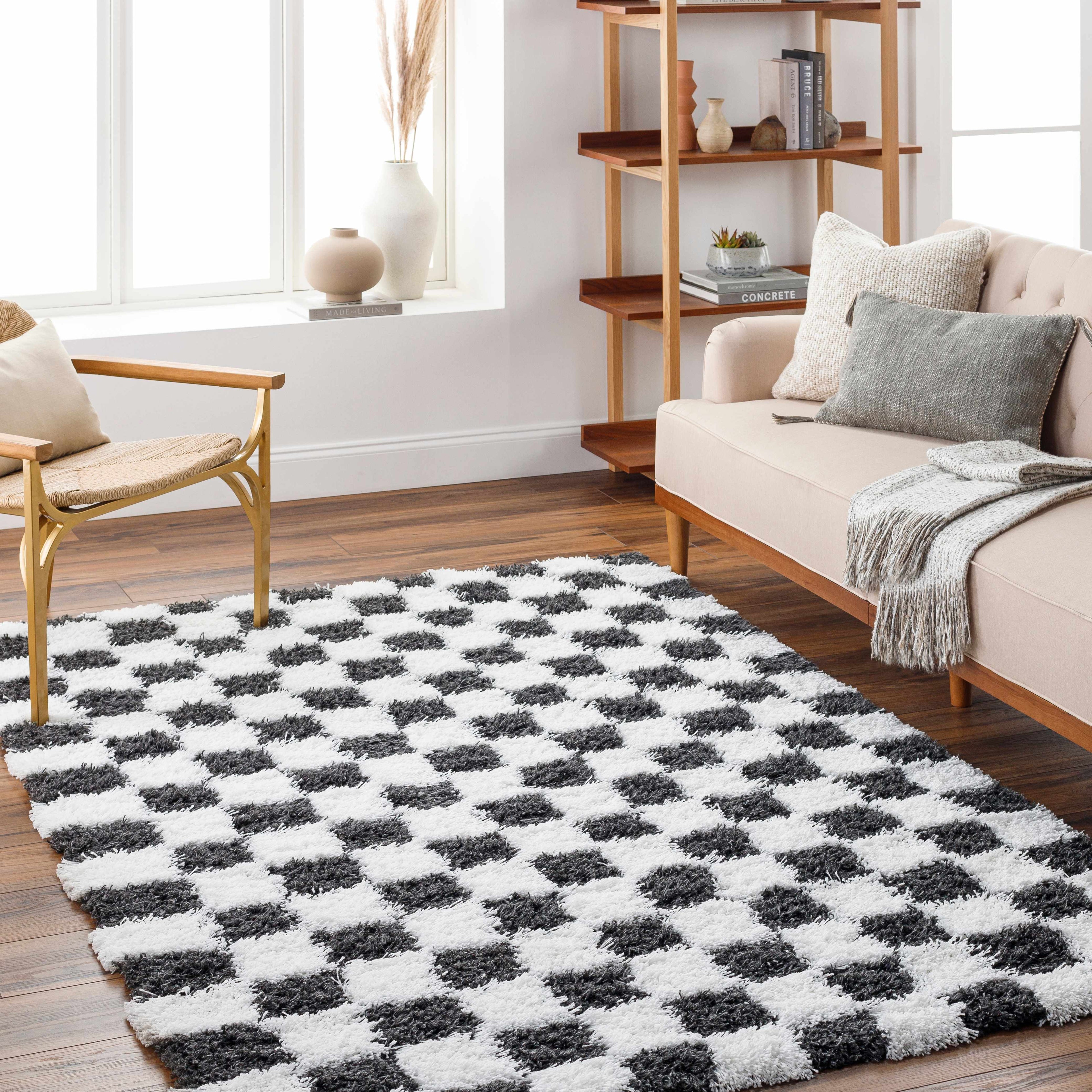 Atira Black &amp; White Checkered Area Rug