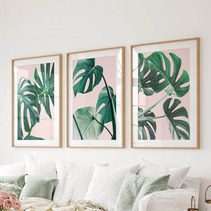 Pink Botanical 3 Piece Wall Art. Green Monstera Leaves Print