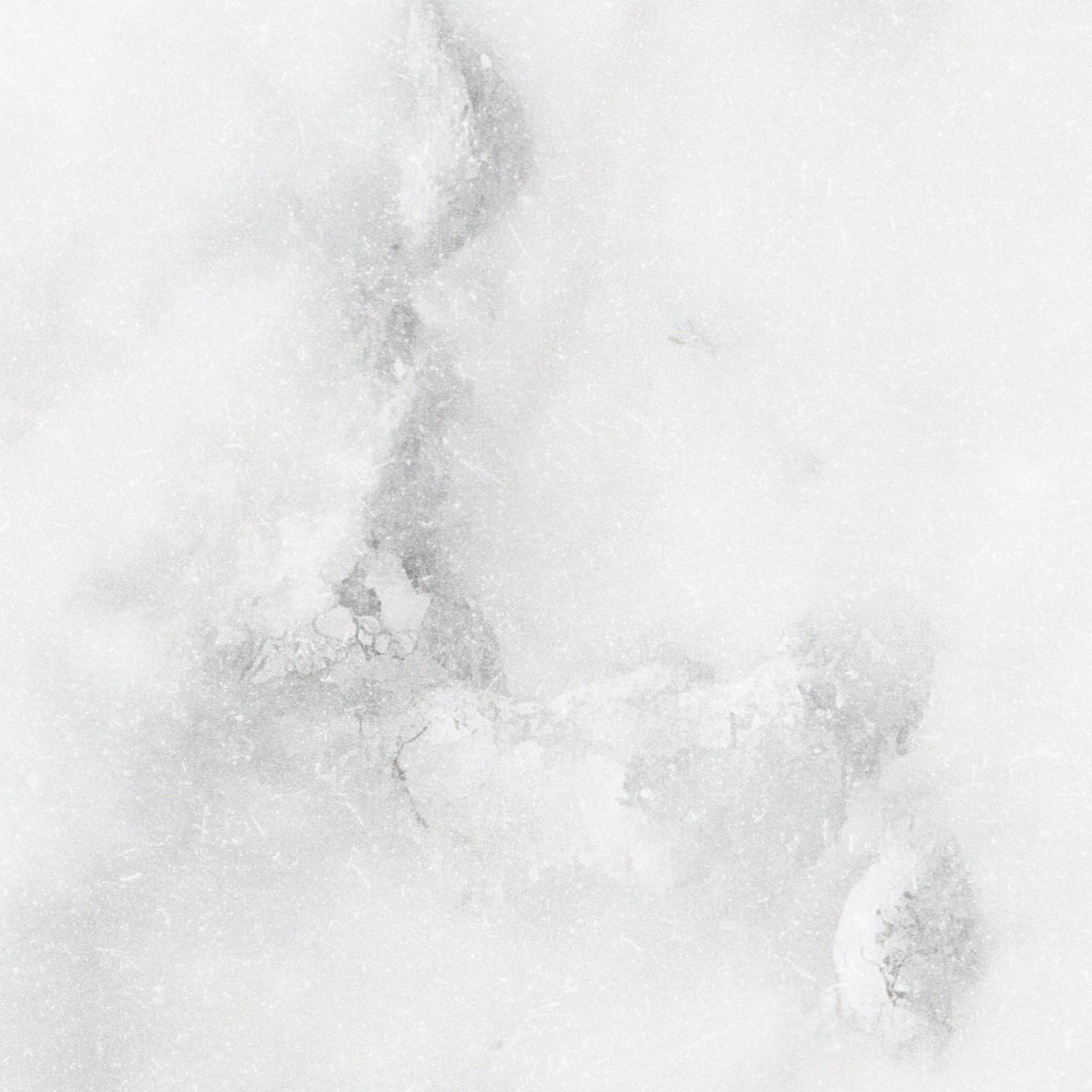 Petra Wallpaper - 10 FT H X 31.6 FT W LUXE