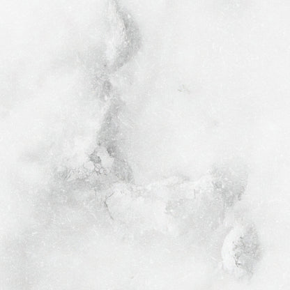 Petra Wallpaper - 10 FT H X 31.6 FT W LUXE