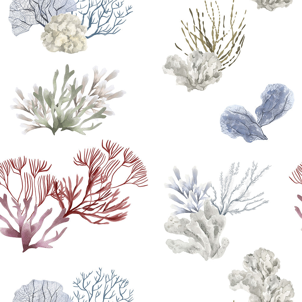 Great Barrier Wallpaper