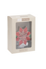 Poinsettia Night Light