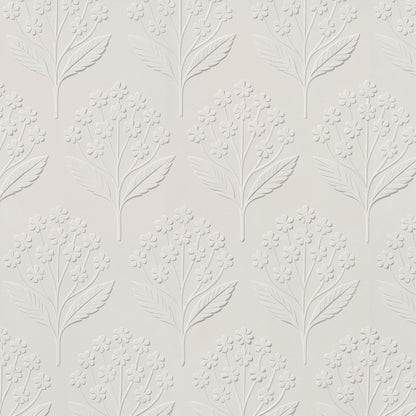 Sweet Alyssum Wallpaper