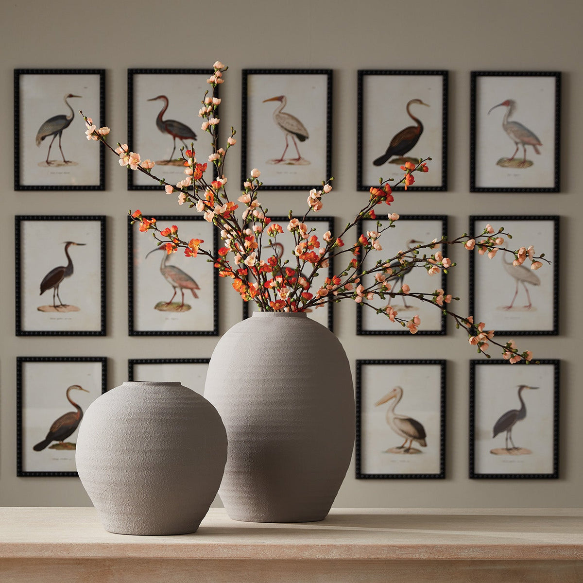 AQUATIC BIRDS STUDY, SET OF 9