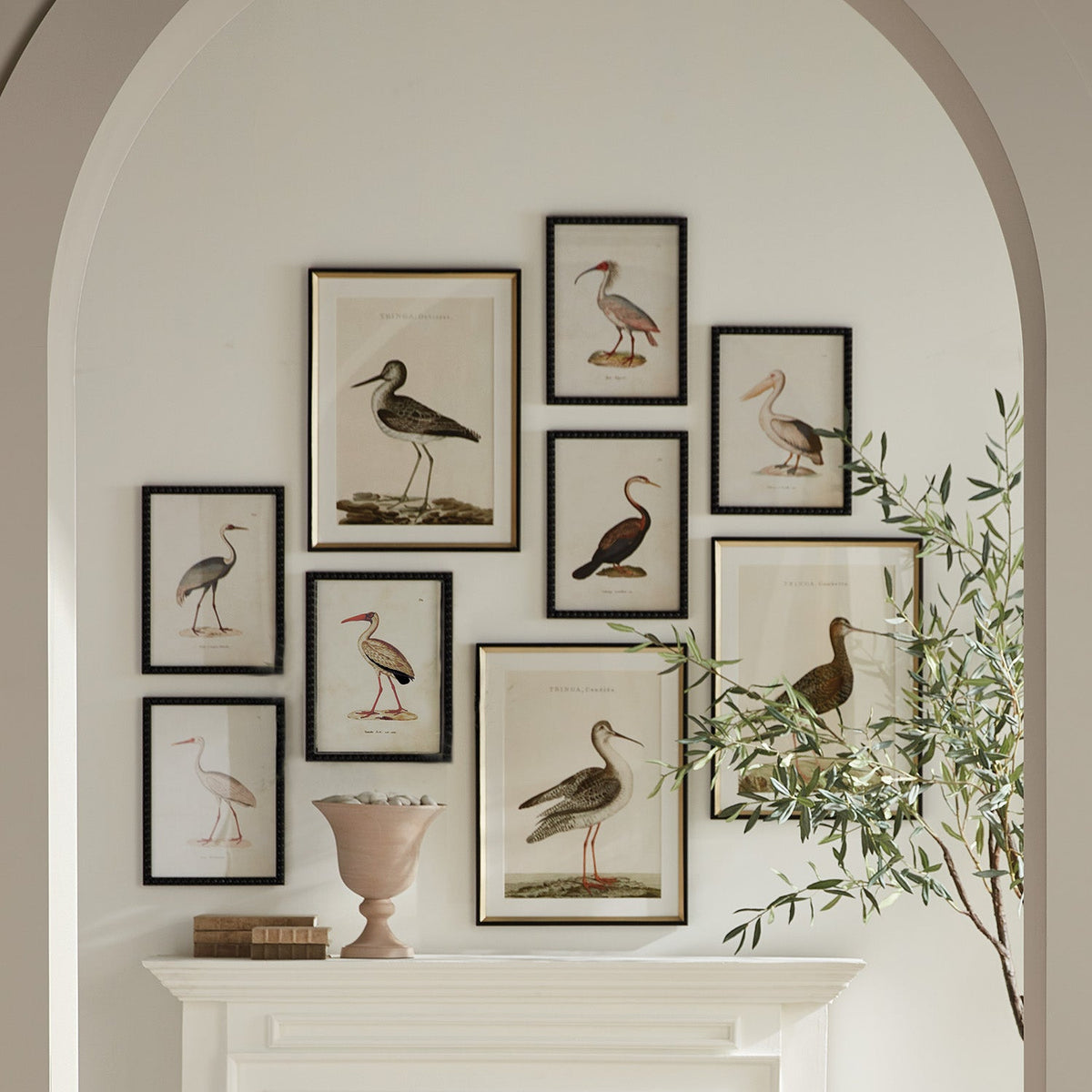 AQUATIC BIRDS STUDY, SET OF 9