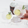 Raye Crystal Angled Gin & Tonic Glasses