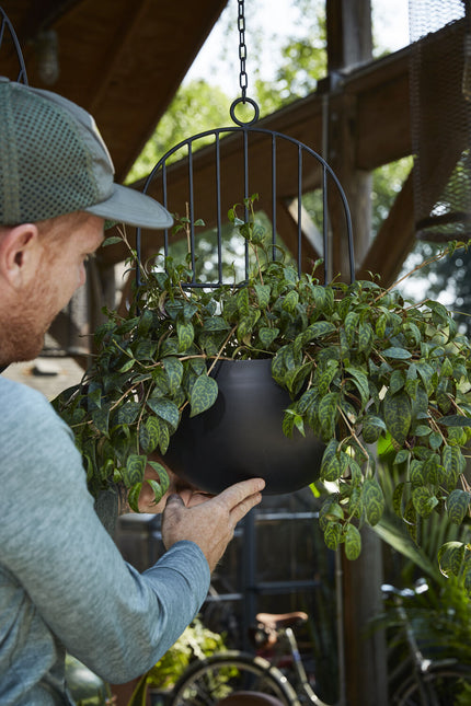 Hestia Hanging Pot- Small