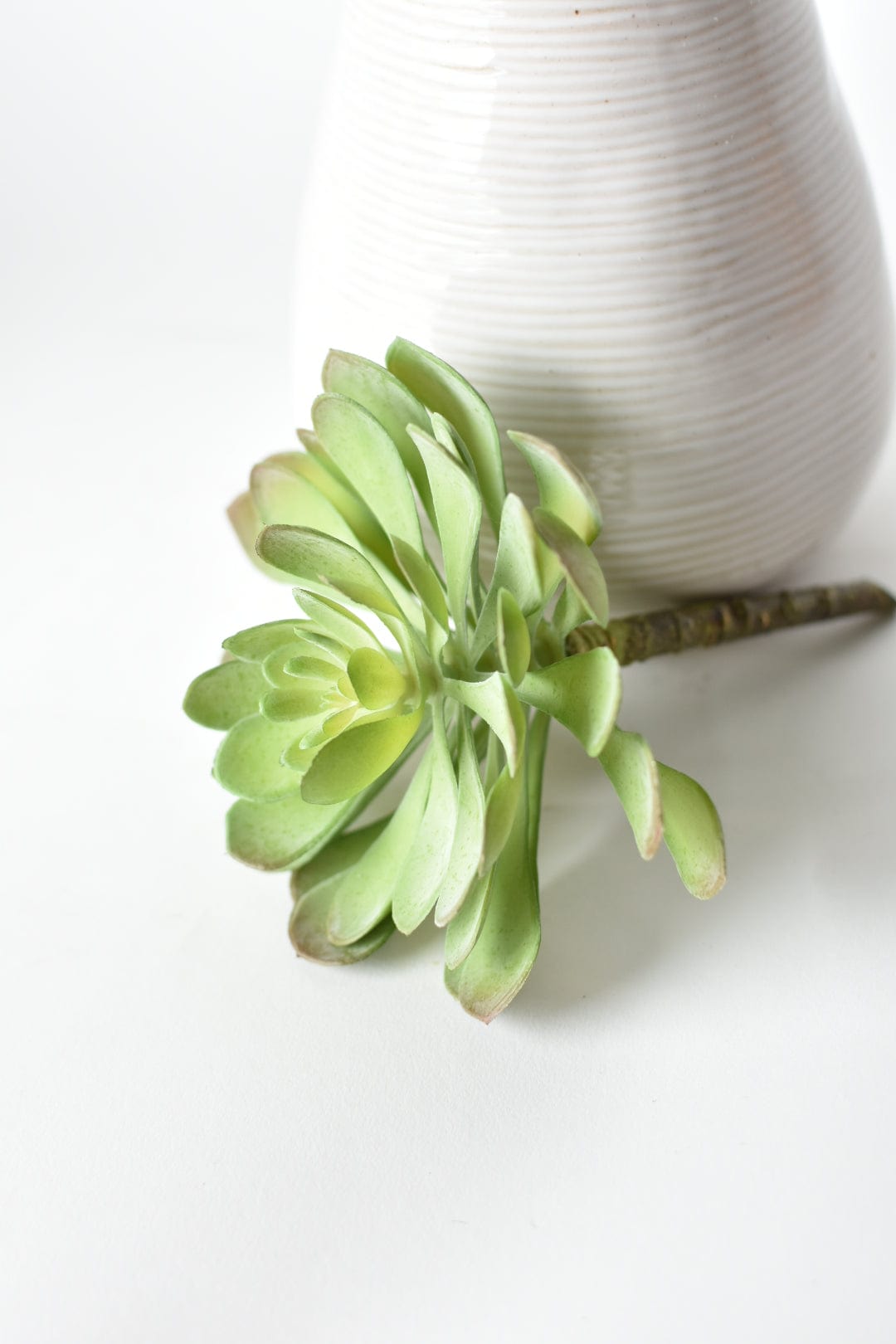 6" Faux Soft Aeonium Succulent Pick