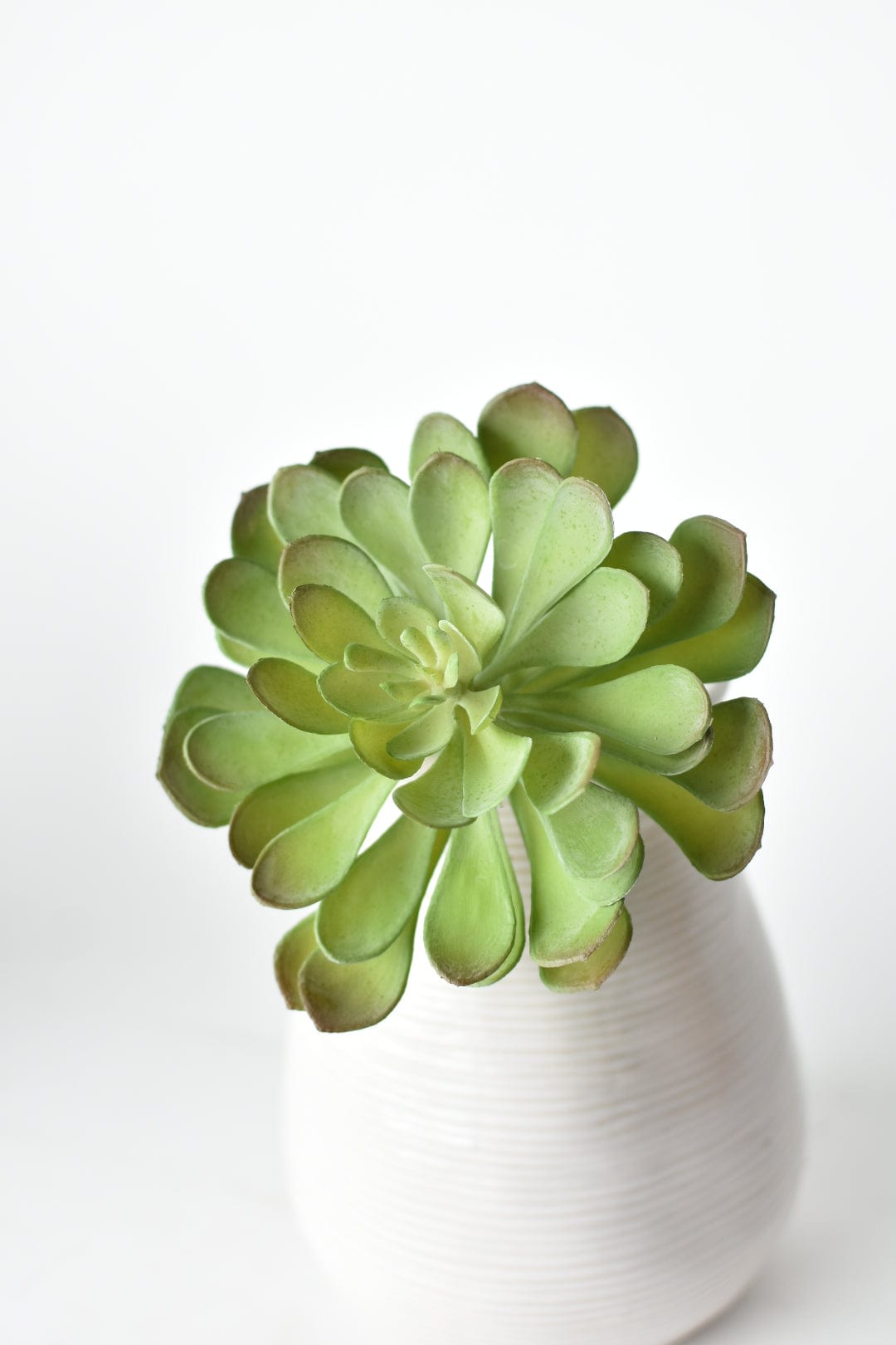 6" Faux Soft Aeonium Succulent Pick