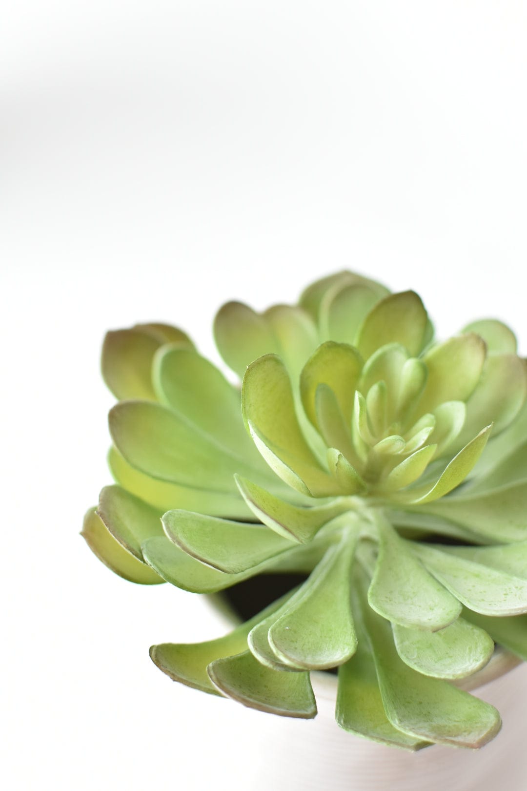6" Faux Soft Aeonium Succulent Pick