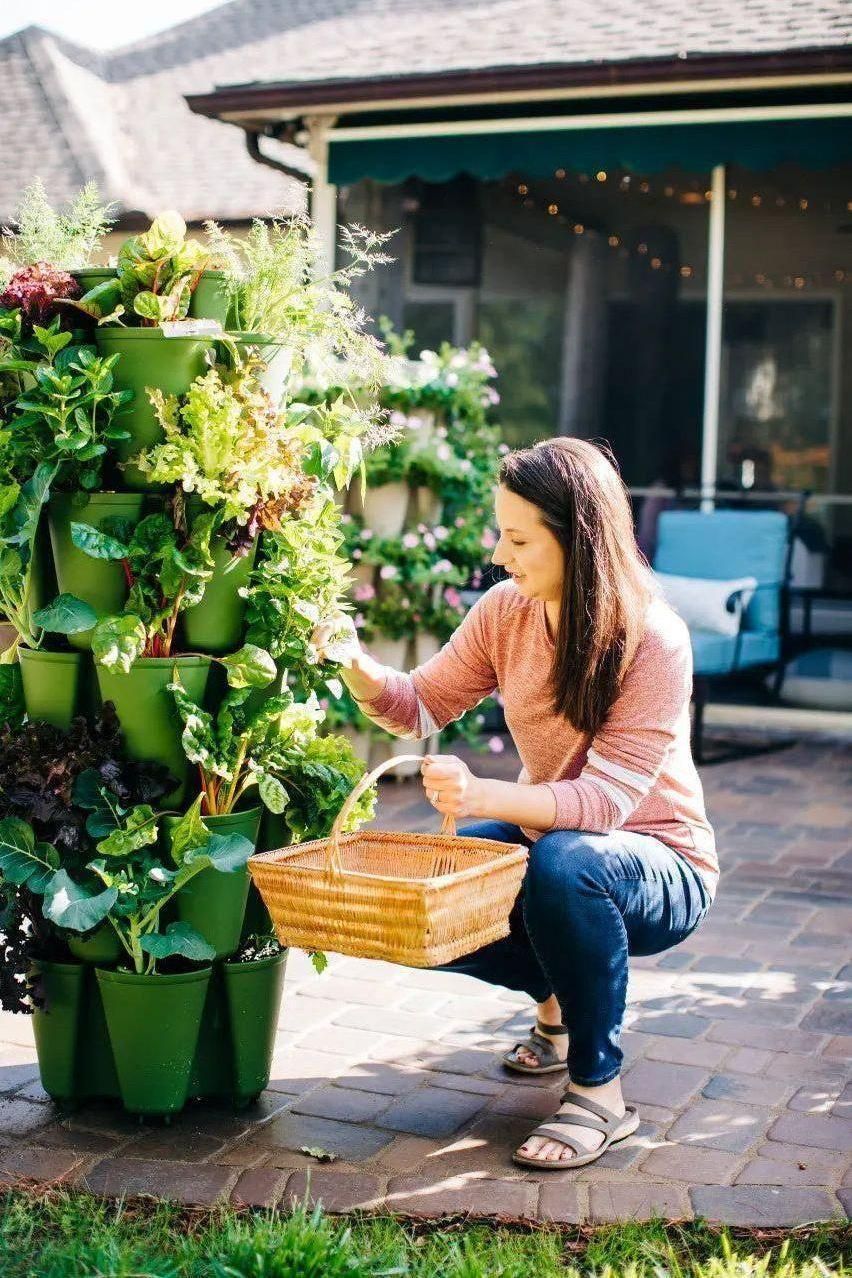 5 Tier GreenStalk Garden Original Vertical Planter - Basic Texture