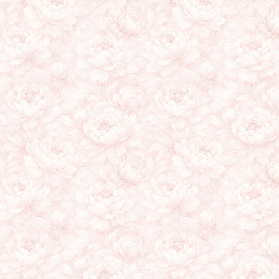 Peony Whisper Wallpaper