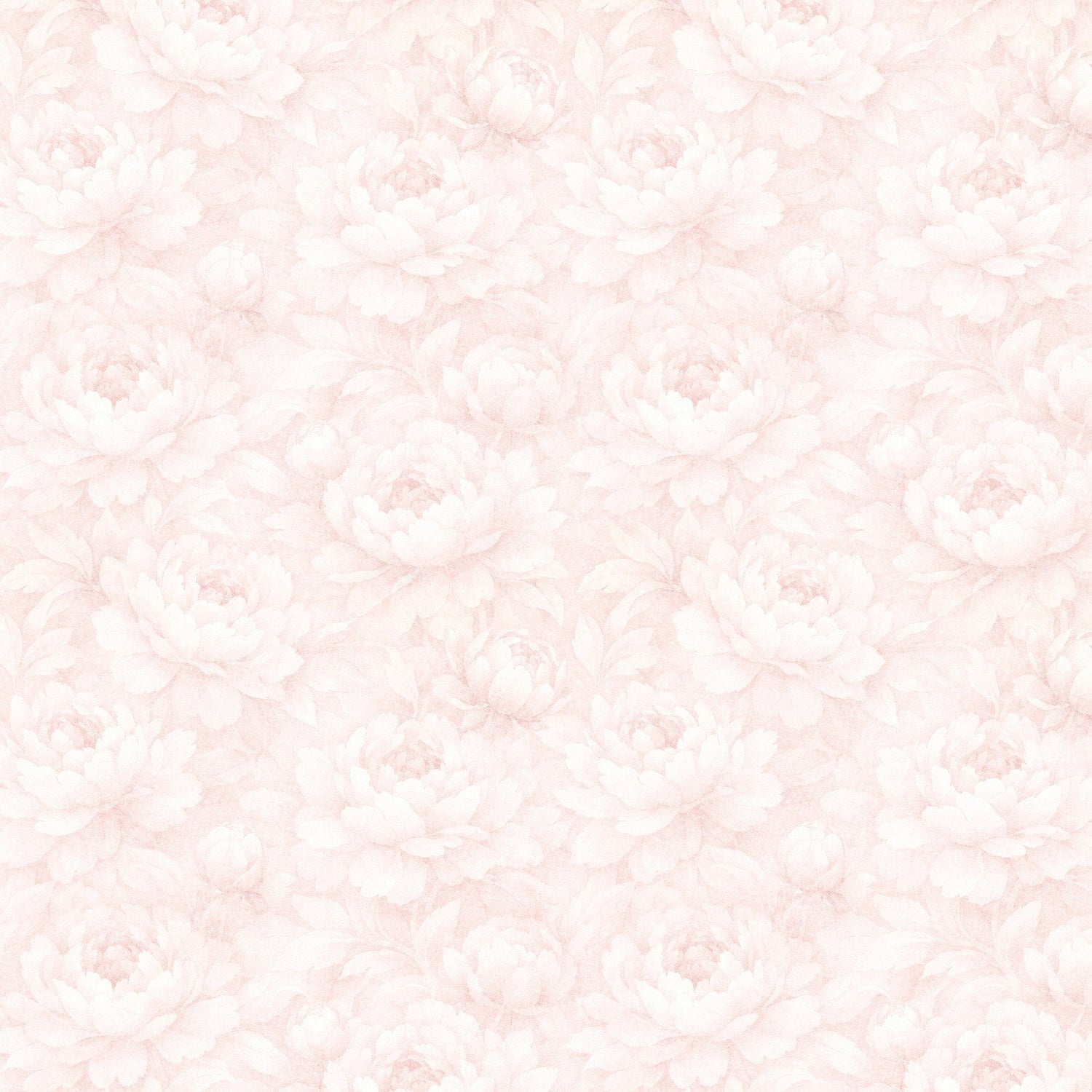 Peony Whisper Wallpaper