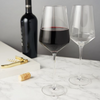 Raye Crystal Angled Bordeaux Glasses