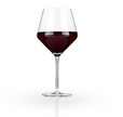 Raye Crystal Angled Burgundy Glasses