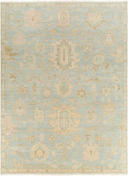 Blue Amiri Area Rug - Clearance