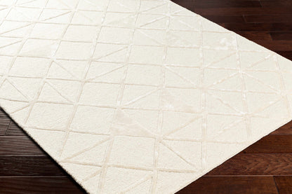 Jevau Beige Geometric Hand Tufted Wool Area Rug - Clearance