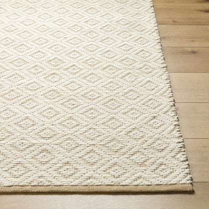 Irela Area Rug - Clearance