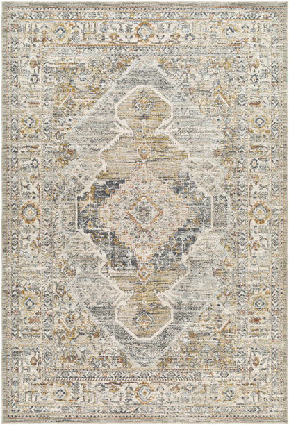 Jyler Traditional Area Rug - Clearance