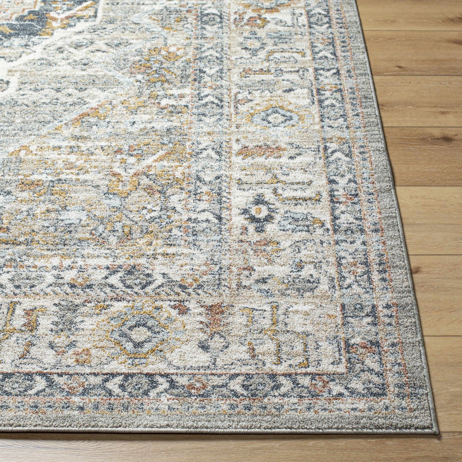 Jyler Traditional Area Rug - Clearance