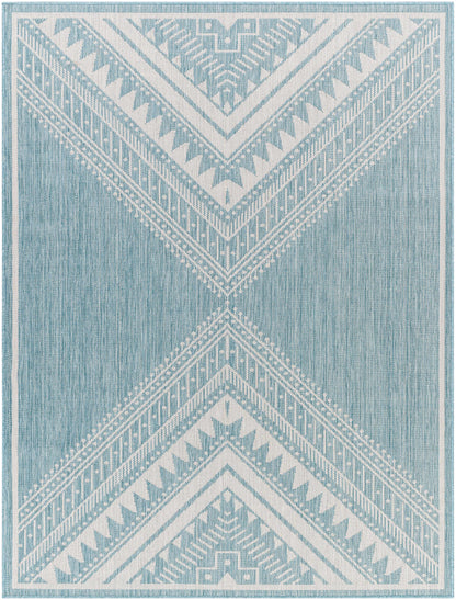Deana Blue Outdoor Area Rug - Clearance