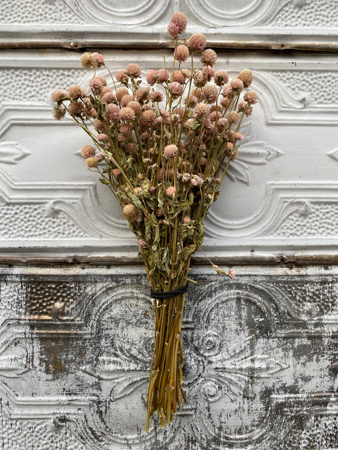 Dried Gomphrena Blush
