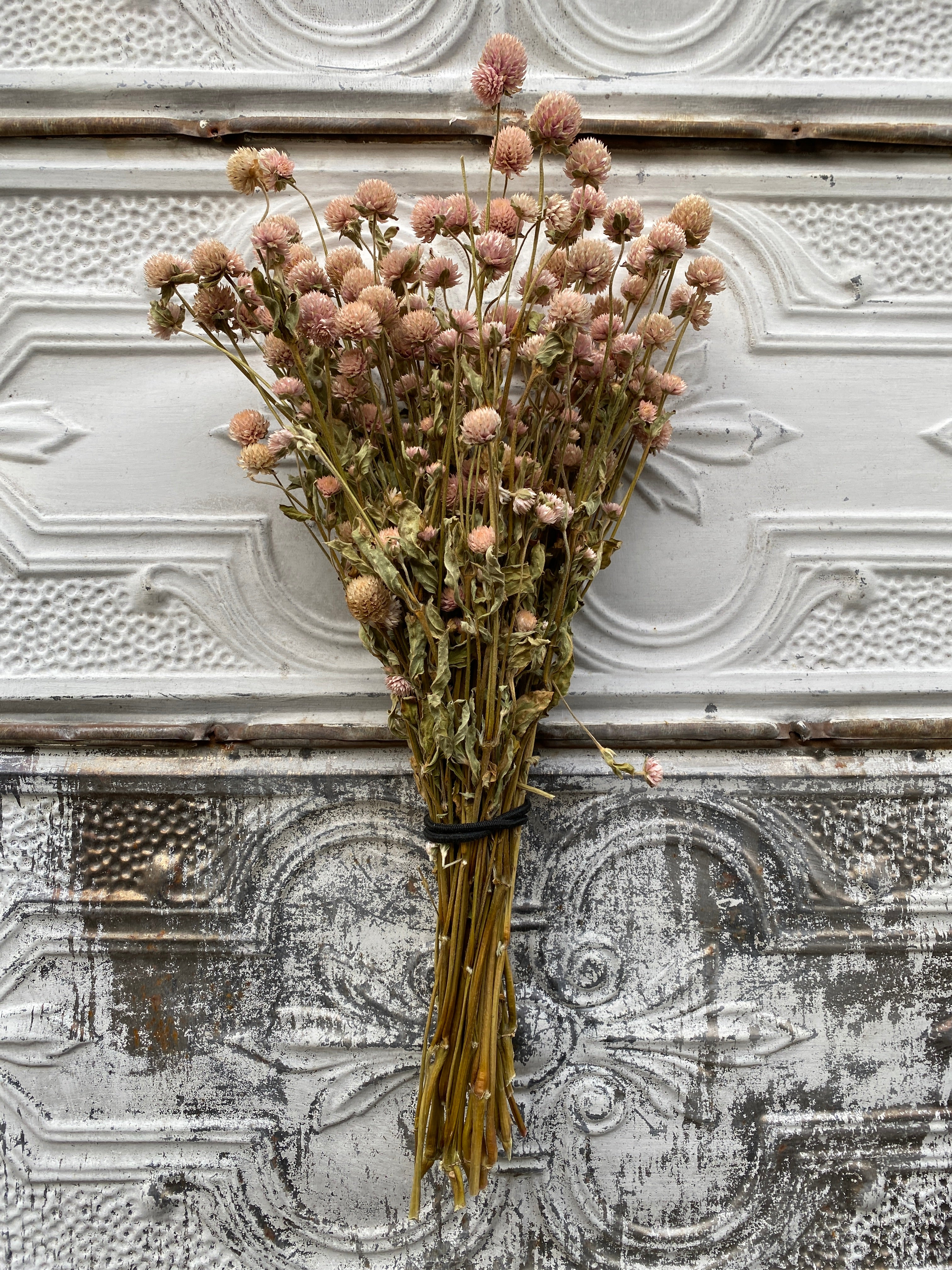 Dried Gomphrena Blush