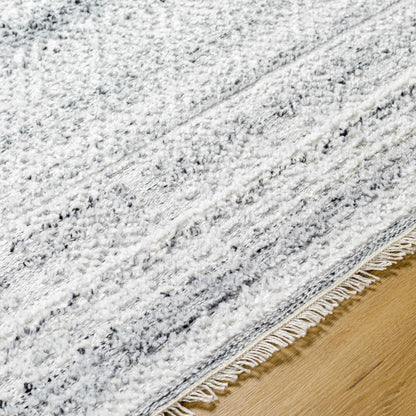 Gray Eldad Area Rug - Clearance