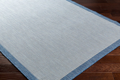 Aleid Blue Outdoor Area Rug - Clearance