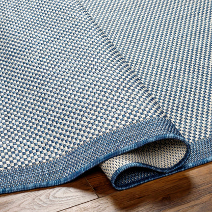 Aleid Blue Outdoor Area Rug - Clearance