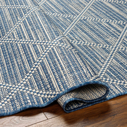 Ivora Blue Outdoor Area Rug - Clearance
