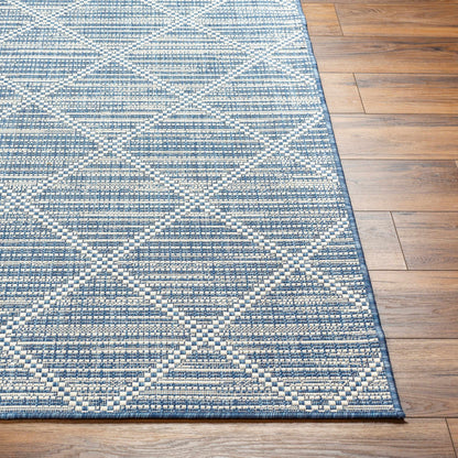 Ivora Blue Outdoor Area Rug - Clearance