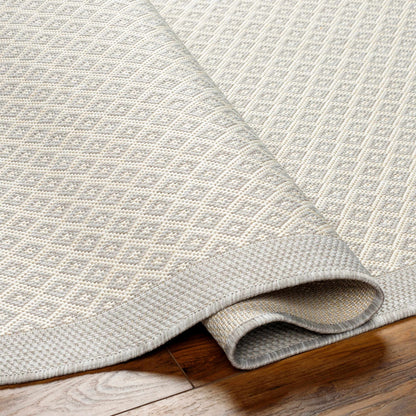 Suzu Outdoor Area Rug - Clearance