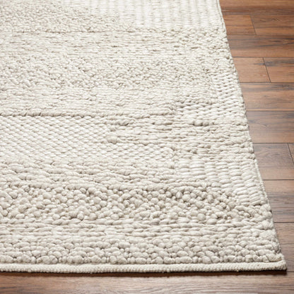 Arezo Area Rug - Clearance